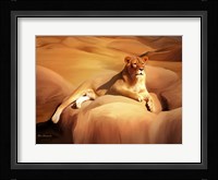 Lioness On A Rock 2 Fine Art Print
