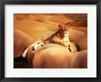 Lioness On A Rock 2 Fine Art Print