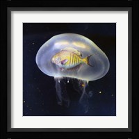 No Way Fine Art Print