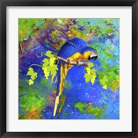 Parrot And Colors Fine Art Print
