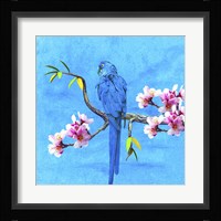 Spring Bird And Flower Fine Art Print