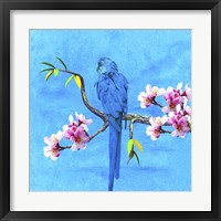 Spring Bird And Flower Fine Art Print