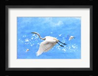 White Birds And Blue Sky Fine Art Print