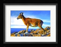 Wild Life 2 Fine Art Print