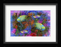 Fish Art 3 Framed Print