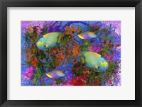 Fish Art 3 Framed Print