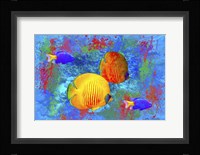 Fish Art 4 Fine Art Print