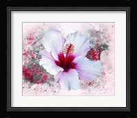 Flower Design 6MN Fine Art Print