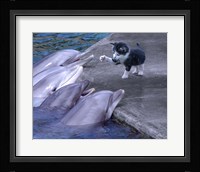 Kitty Kitty Fine Art Print