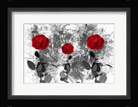 Red Roses Fine Art Print