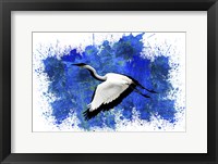 Bird Collection 10 Framed Print