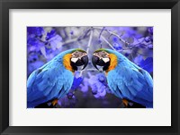 Bird Collection 32 Fine Art Print