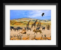 Lion African Safari 1A Framed Print