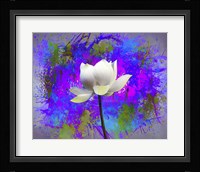 Flowers Explosion SEP3 Fine Art Print