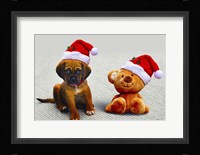 Puppy and Teddy Fine Art Print