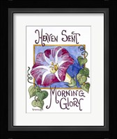 Heaven Sent Mornning Glory-Seed Packet Fine Art Print
