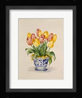 Blue and White Porcelain Tulips Fine Art Print