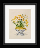 Blue and White Porcelain Daffodils Fine Art Print