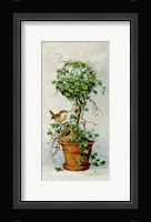 Spring Nesting II Framed Print