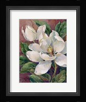 Summer Bloom II Fine Art Print