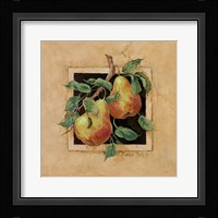 Pear Square Framed Print