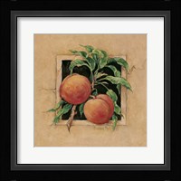 Peach Square Framed Print