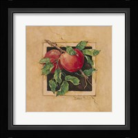 Apple Square Framed Print
