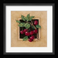 Cherry Square Fine Art Print