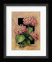 Framed Hydrangas Fine Art Print