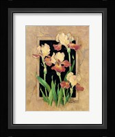 Framed Iris Framed Print
