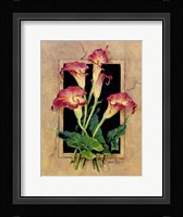 Framed Callas Framed Print