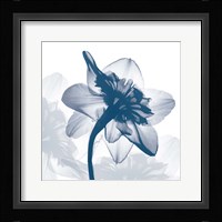 Daffodil dance Fine Art Print