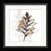 Foxglove Dance Fine Art Print