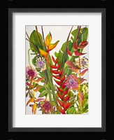 Radiant Supreme Fine Art Print