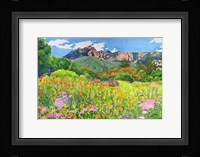 Santa Barbara Botanic Garden Fine Art Print