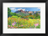 Santa Barbara Botanic Garden Fine Art Print