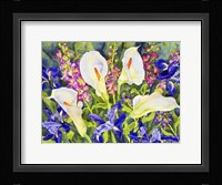 Callas with Irises Fine Art Print