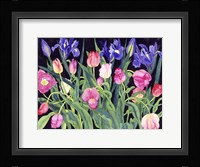 Tulips And Irises Fine Art Print