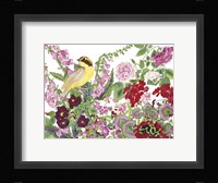 Warbler With Frog Framed Print