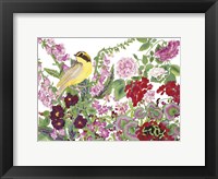 Warbler With Frog Framed Print