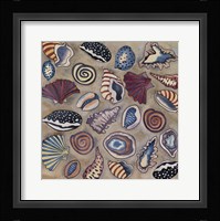 Sea Shells Fine Art Print