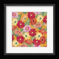 Heavenly Divine- Daisies Fine Art Print