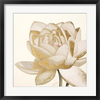 Vintage Lotus Cream II Fine Art Print