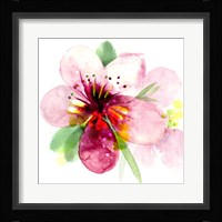 Floral Beauty I Framed Print