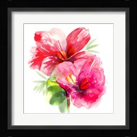 Floral Beauty II Framed Print