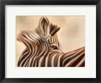 Zebra Looking Over Shoulder Fine Art Print