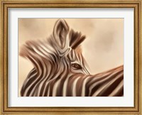 Zebra Looking Over Shoulder Fine Art Print
