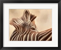Zebra Looking Over Shoulder Fine Art Print