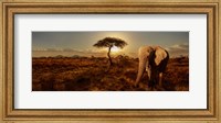 Elephant and Tree Fine Art Print