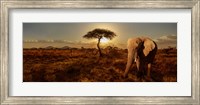Elephant and Tree Fine Art Print